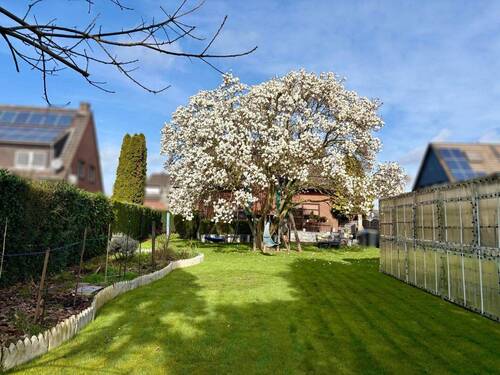 Der weitläufige Garten mit prächtigem Magnolienbaum - 4 Zimmer Einfamilienhaus zum Kaufen in Rheinberg