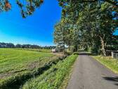 Blick zur Weide - 
