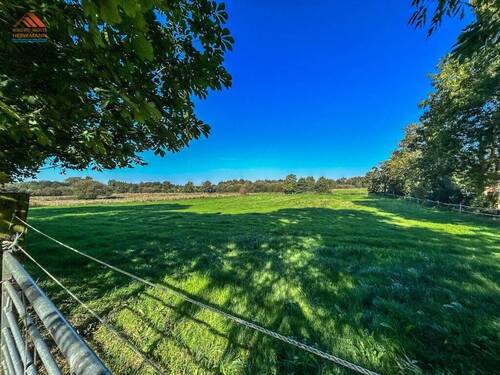 Blick auf die Weide hinter dem Haus - 