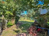 Blick in den Garten 1 - 