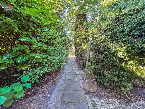 Blick in den Garten 3 - 