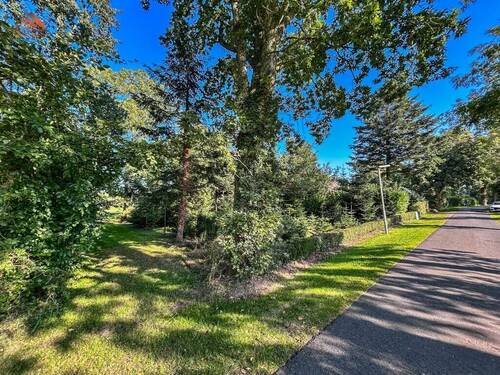 Blick zum Garten - 