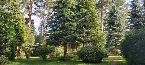 Grundstück mit Blick zum Wintergarten - 