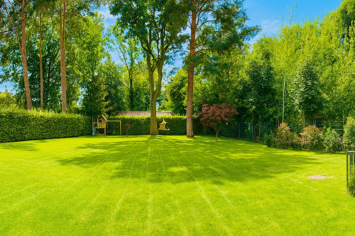 Gartenausblick - Spielfäche - 