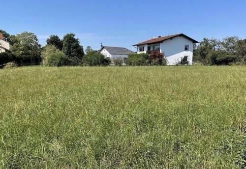 Grundstück Bild 2.jpg - Grundstück zum Kaufen in Winhöring