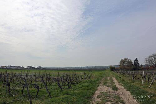 am Ortsrand - * Ruhig * Große Sonnen-Terrasse * Viel Platz! *