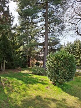 Grundstück Mitte.jpg - Mehrfamilienhaus, Wohnhaus mit 618,00 m&sup2; in Jahnsdorf zum Kaufen