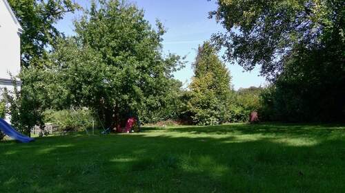 FILEPotensicPro1.JPG - 