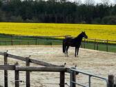IMG-20260311-WA0051.jpg - 