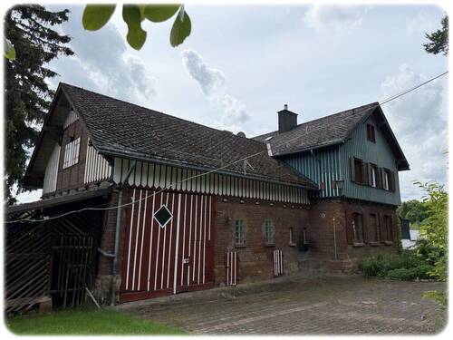Bild6 - 