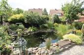 Teich - 