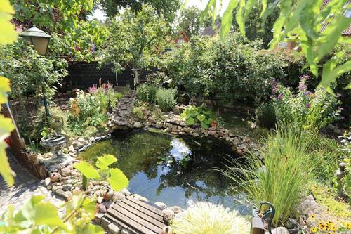 Teich - 
