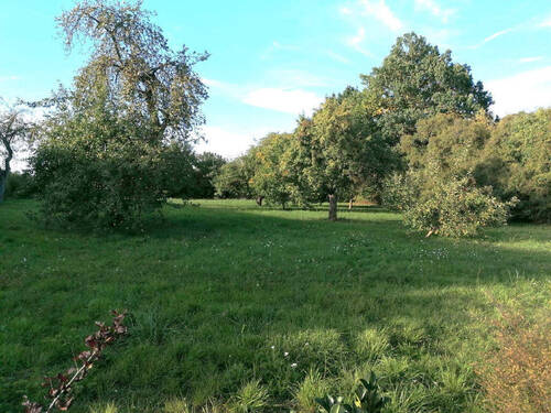 Bild12 - 