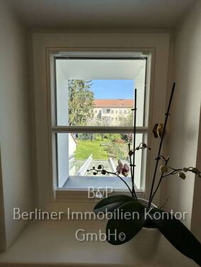 IMG_8781 - 