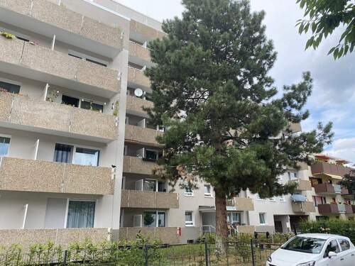 Ansicht P10 - 