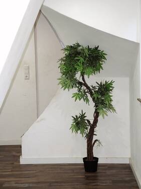 W3_Eingangsflur EG - 