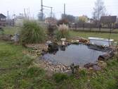 kleiner Gartenteich - 