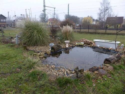 kleiner Gartenteich - 