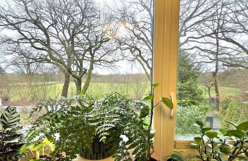 Weitblick auf die Felder - 