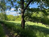 IMG_8186 - 