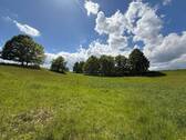IMG_8191 - 