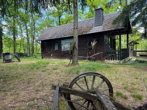 IMG_8176 - Freiheit pur! Einzigartige historische Jagdhütte auf 4000 m² Eigentumsland
