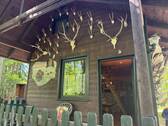 IMG_8104 - 