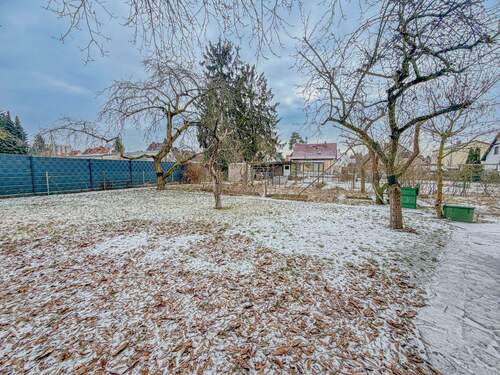 Grundstücksgarten - 