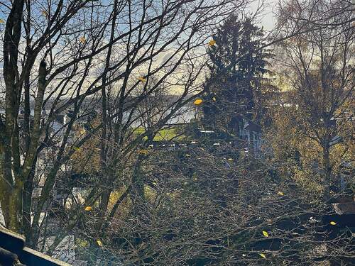 sogar bis zur Elbe - 