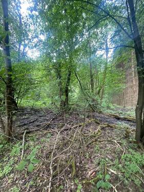 teilweise Oberflächenwasser - Grundstück zum Kaufen in Wildflecken