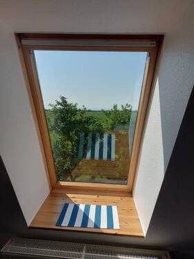 Blick über die Weiseflächen - 