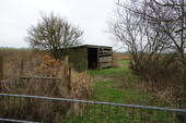 Weideland mit Unterstand - 