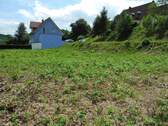 DSCN3131.JPG - Grundstück zum Kaufen in Bad Brückenau