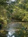 Naturnah - 