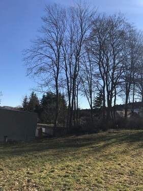 Umgebung - Grundstück in Werdau