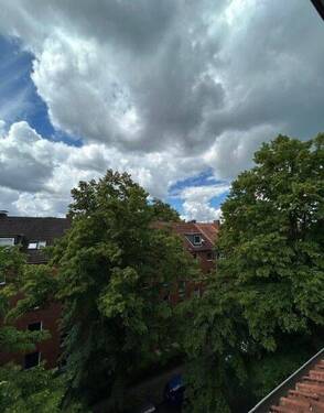 35231A (22).jpeg - 