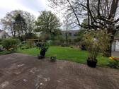 Blick in den Garten - 