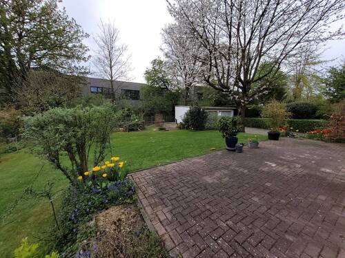 Blick in den Garten - 