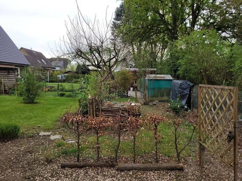 Blick zum Nachbarn - Terrassenwohnung mit 96,80 m&sup2; in Wesel zur Miete