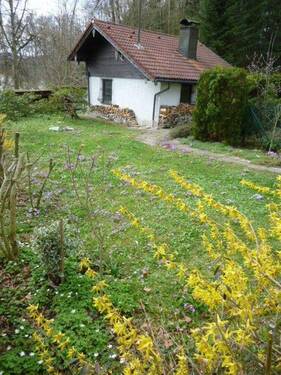 vom Carport aus - Für Naturliebhaber: Ferienhaus mitten in der Natur, den Bergen + am See