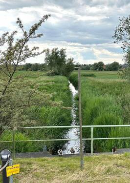Blick in die Wiesen - 