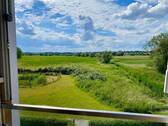 Blick in die Wiesen - 