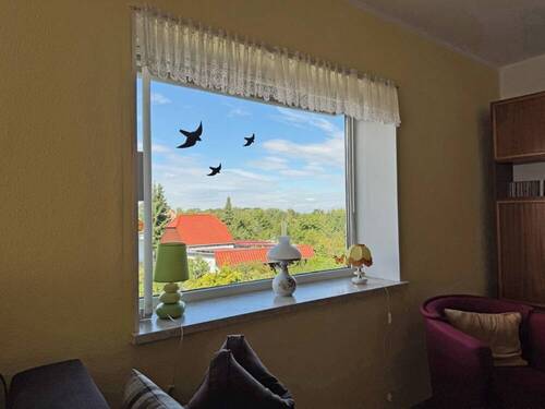 Blick in die Ferne - 
