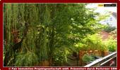 Aussicht Balkon - ** 2,5 Zimmer-Wohnung mit großem Balkon **