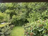 IMG_6097 - 