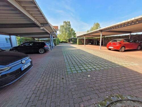 20250920_145619.jpg - 