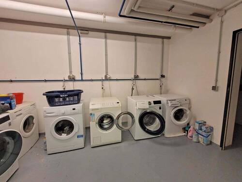 20250920_152151.jpg - 