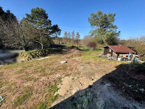 Blick in den Garten - 