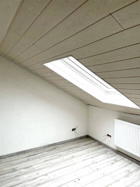 Bild17 - 