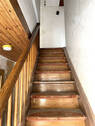 Bild8 - 